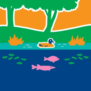 Pond ecosystem (biocoenosis and biotope)